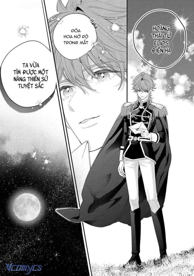 Hoa Hồng Ẩn Giấu Sao Băng Chap 11 - Next Chap 12