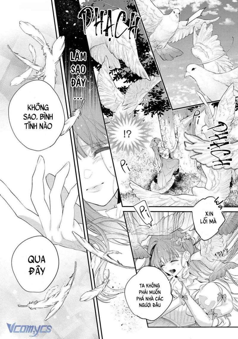 Hoa Hồng Ẩn Giấu Sao Băng Chap 11 - Next Chap 12