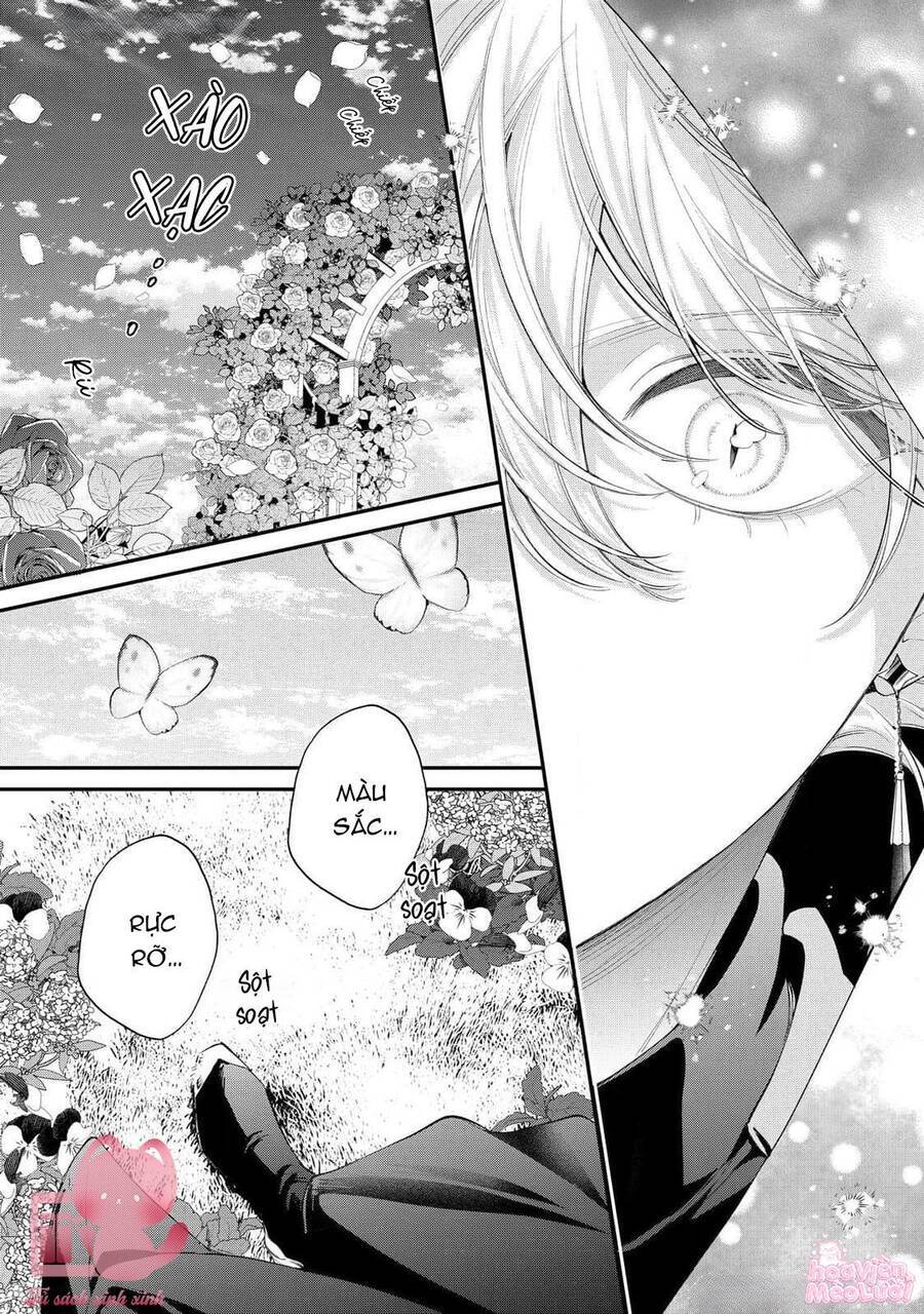 Hoa Hồng Ẩn Giấu Sao Băng Chap 12 - Next Chap 13