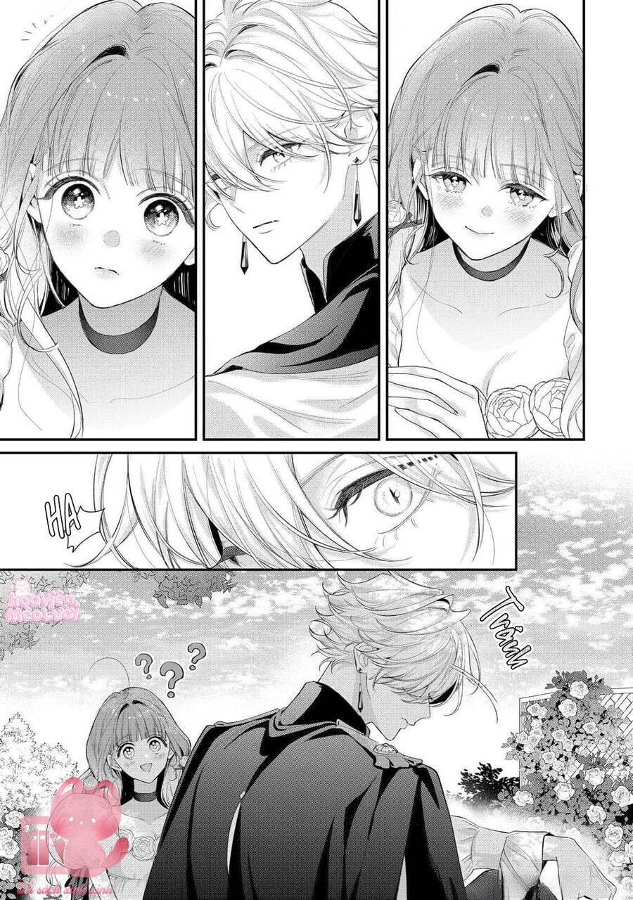 Hoa Hồng Ẩn Giấu Sao Băng Chap 12 - Next Chap 13