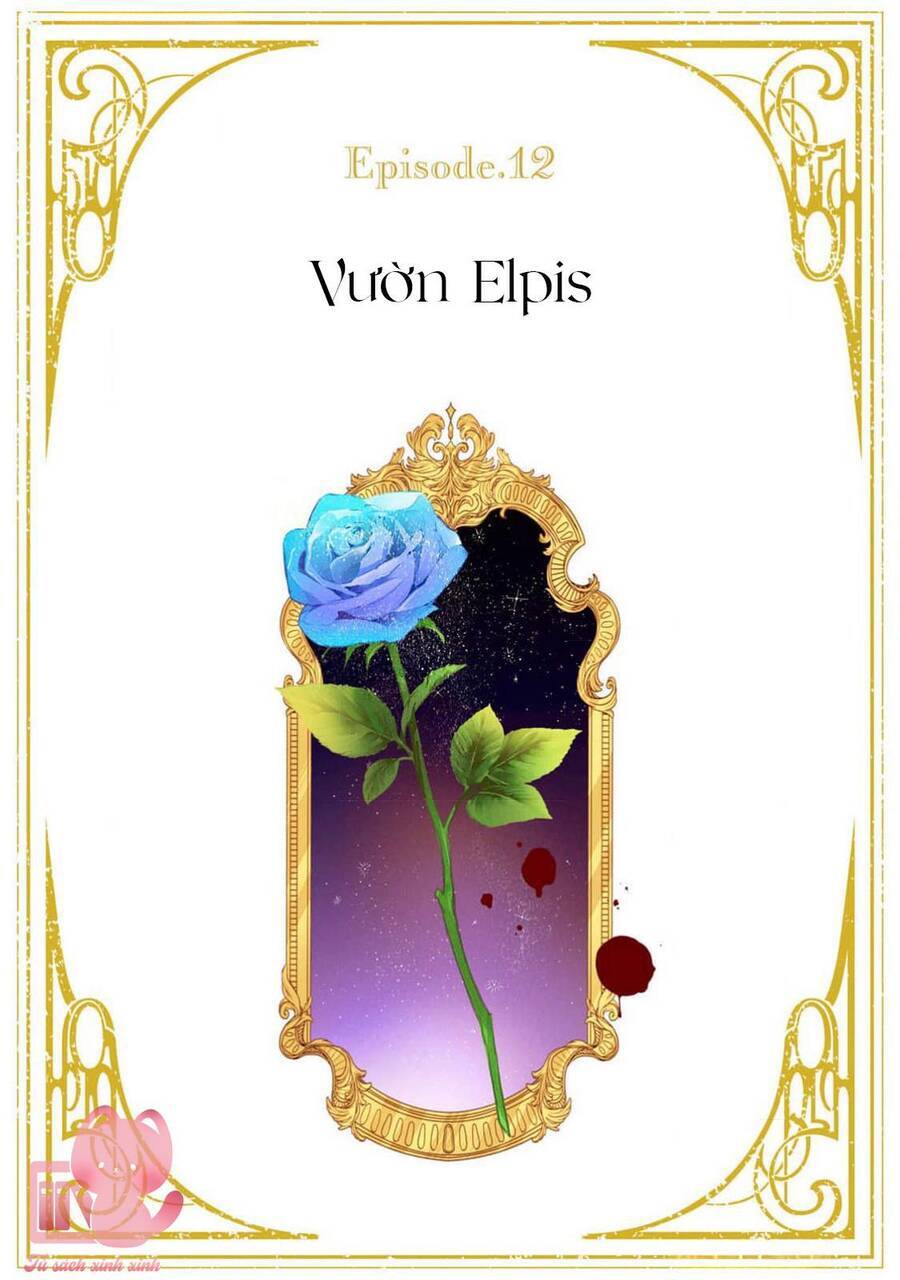 Hoa Hồng Ẩn Giấu Sao Băng Chap 12 - Next Chap 13