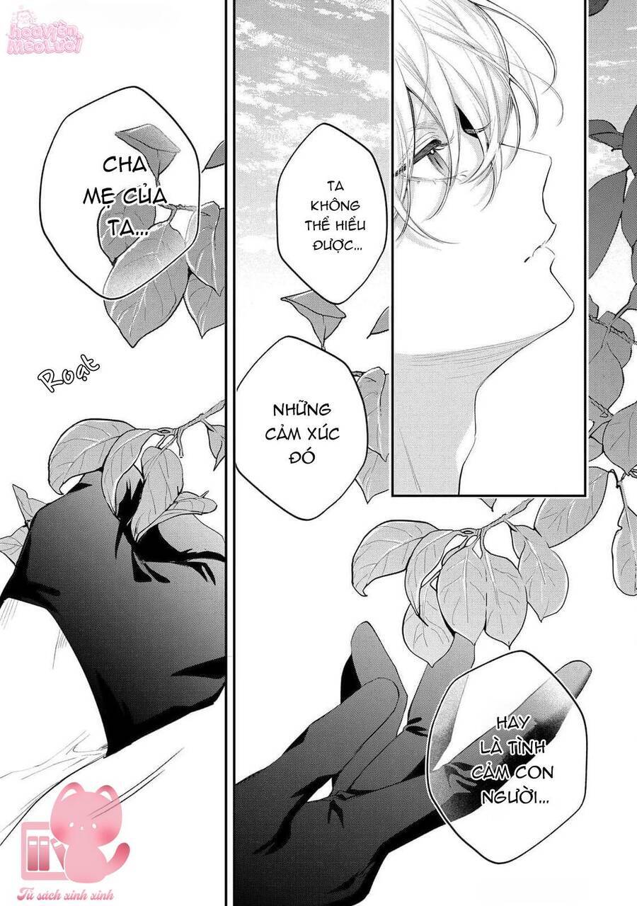 Hoa Hồng Ẩn Giấu Sao Băng Chap 12 - Next Chap 13