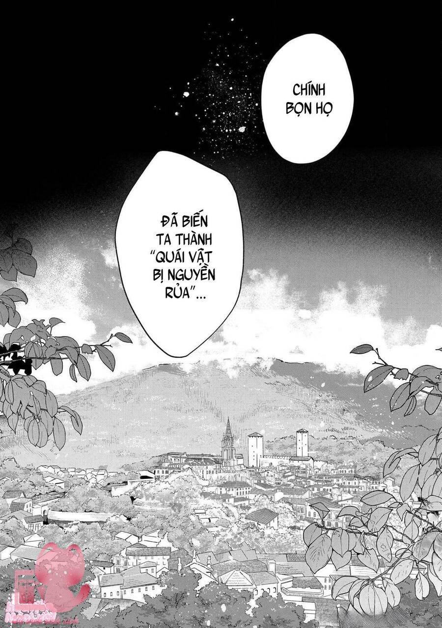 Hoa Hồng Ẩn Giấu Sao Băng Chap 12 - Next Chap 13