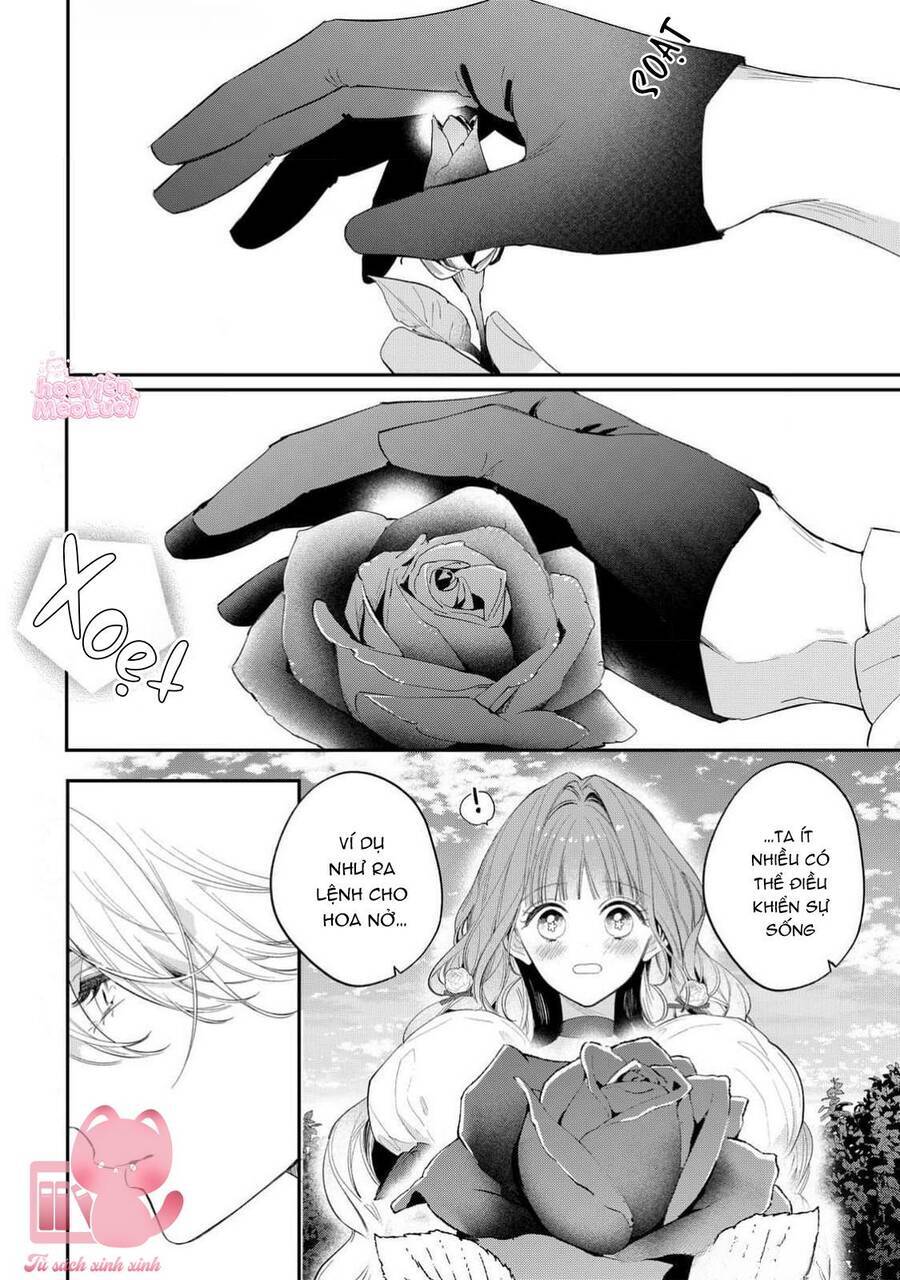 Hoa Hồng Ẩn Giấu Sao Băng Chap 13 - Next Chap 14