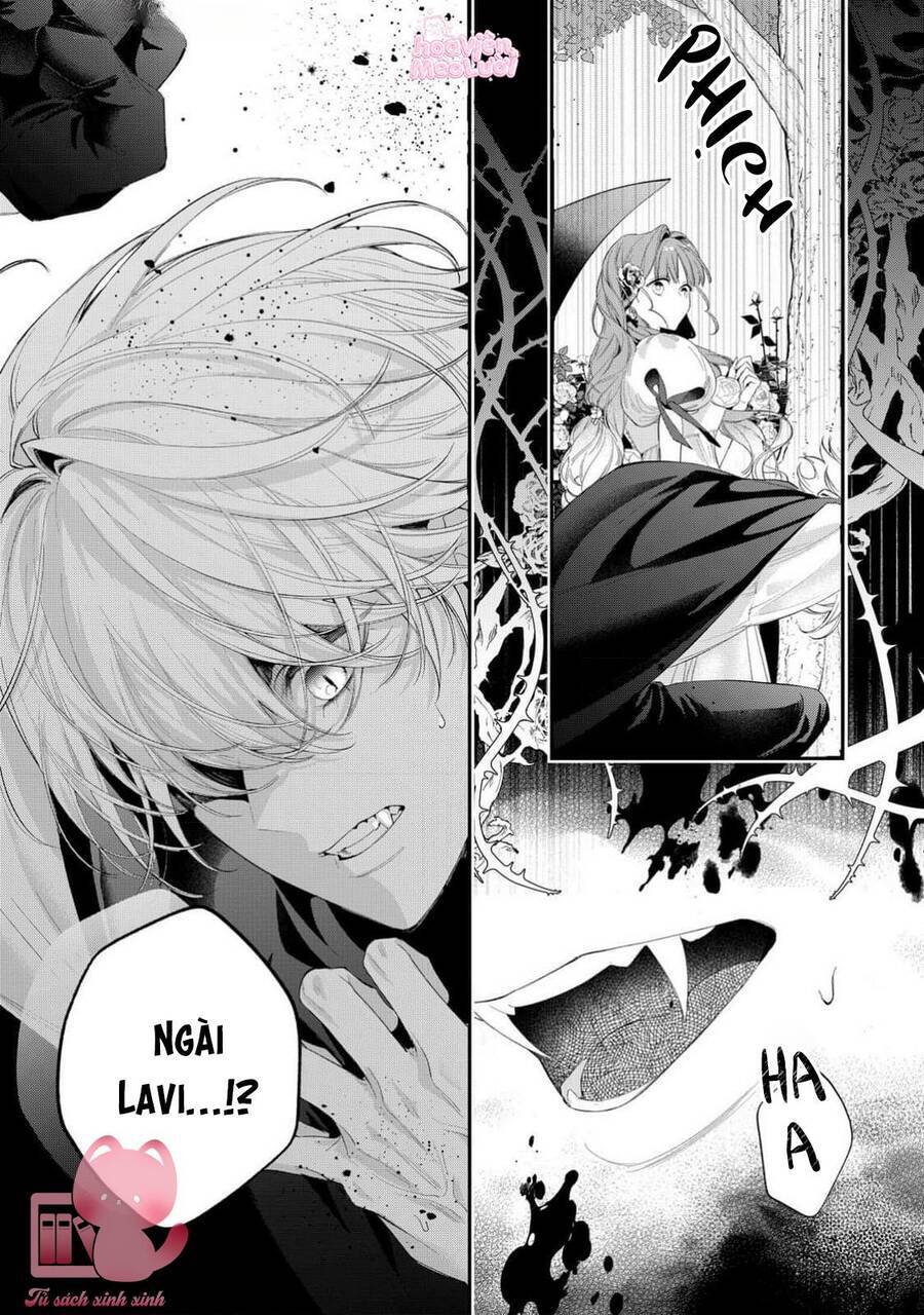 Hoa Hồng Ẩn Giấu Sao Băng Chap 13 - Next Chap 14
