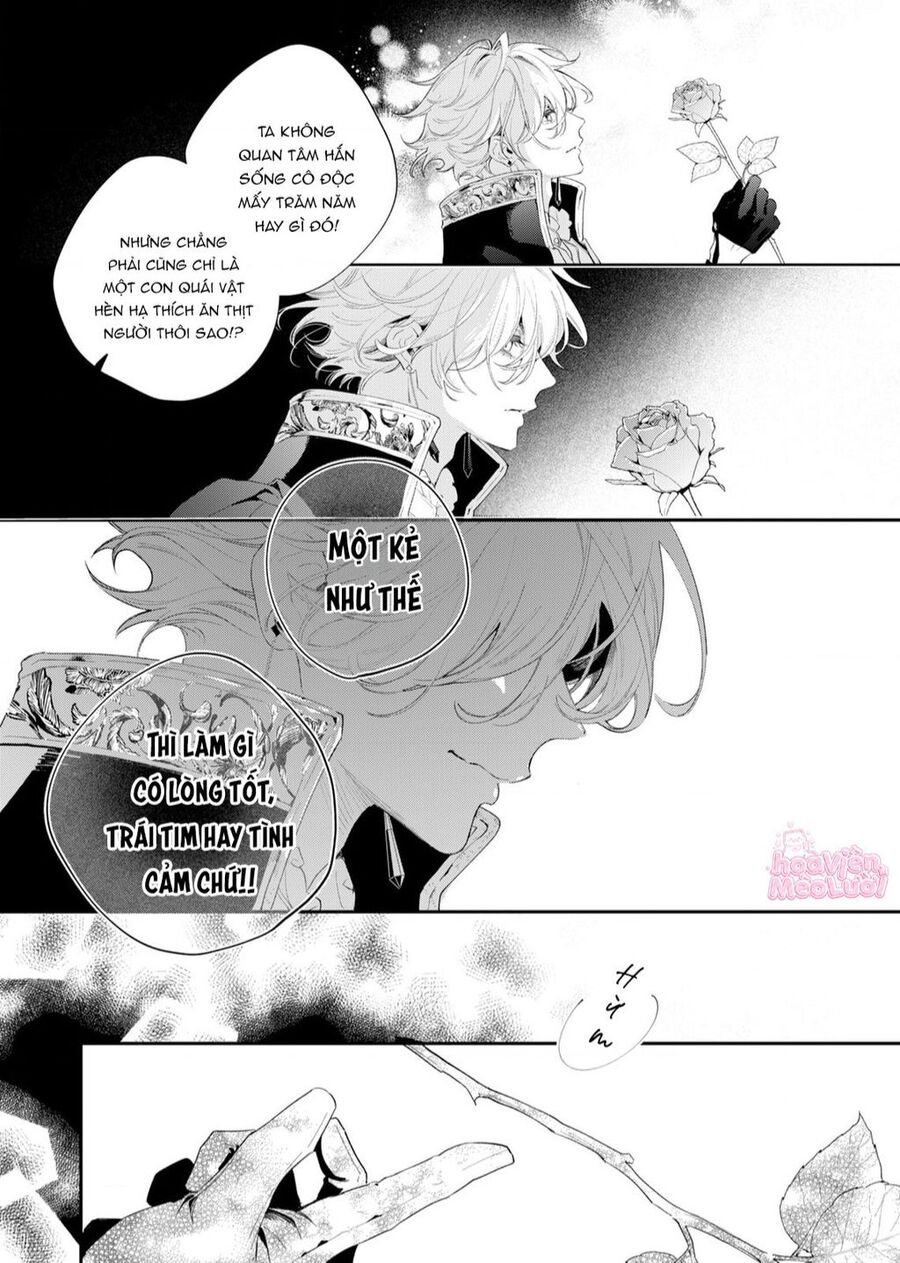 Hoa Hồng Ẩn Giấu Sao Băng Chap 2 - Next Chap 3