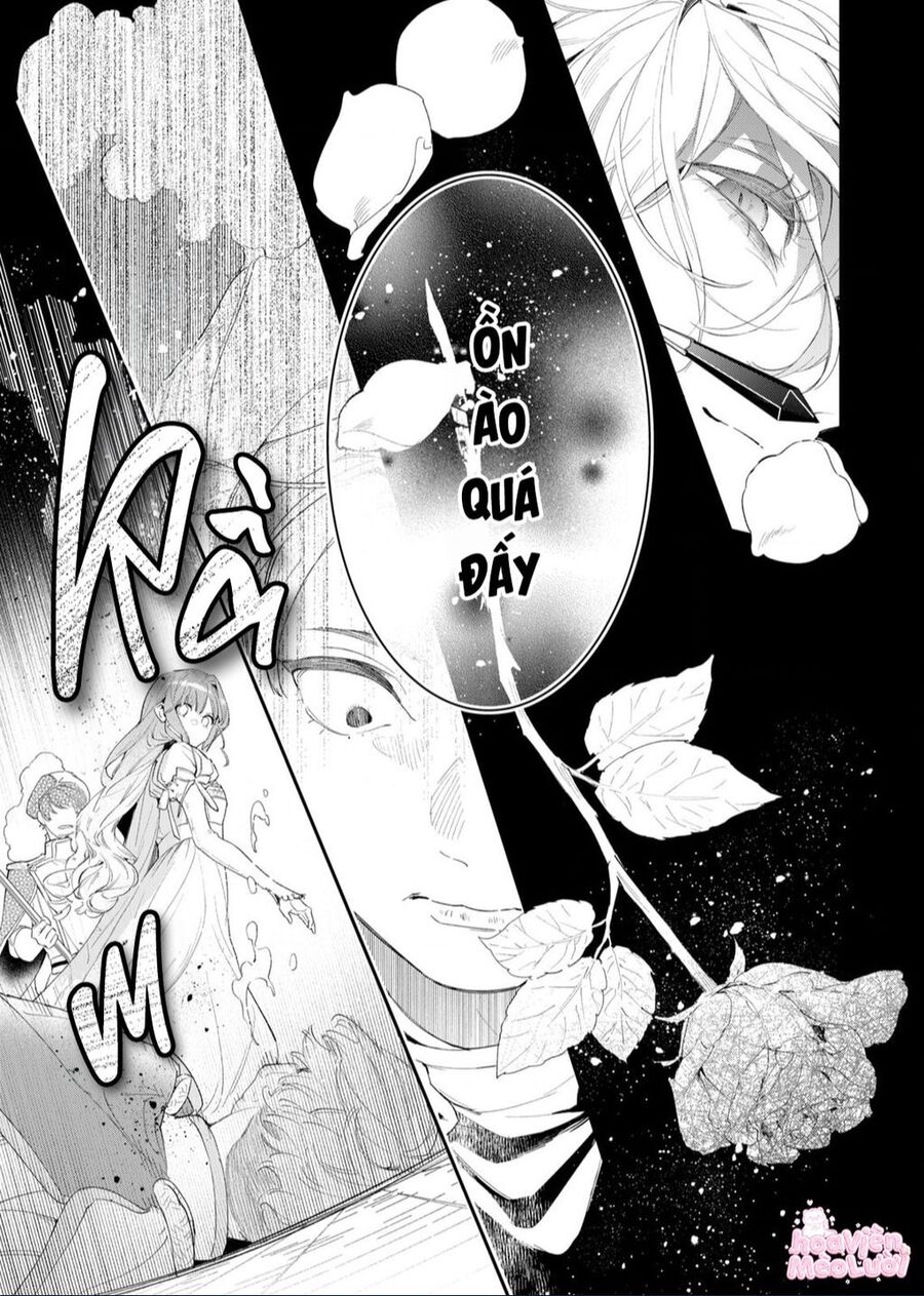 Hoa Hồng Ẩn Giấu Sao Băng Chap 2 - Next Chap 3