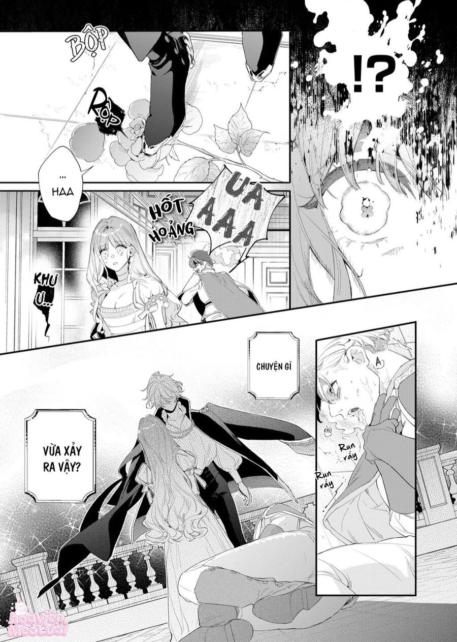 Hoa Hồng Ẩn Giấu Sao Băng Chap 2 - Next Chap 3