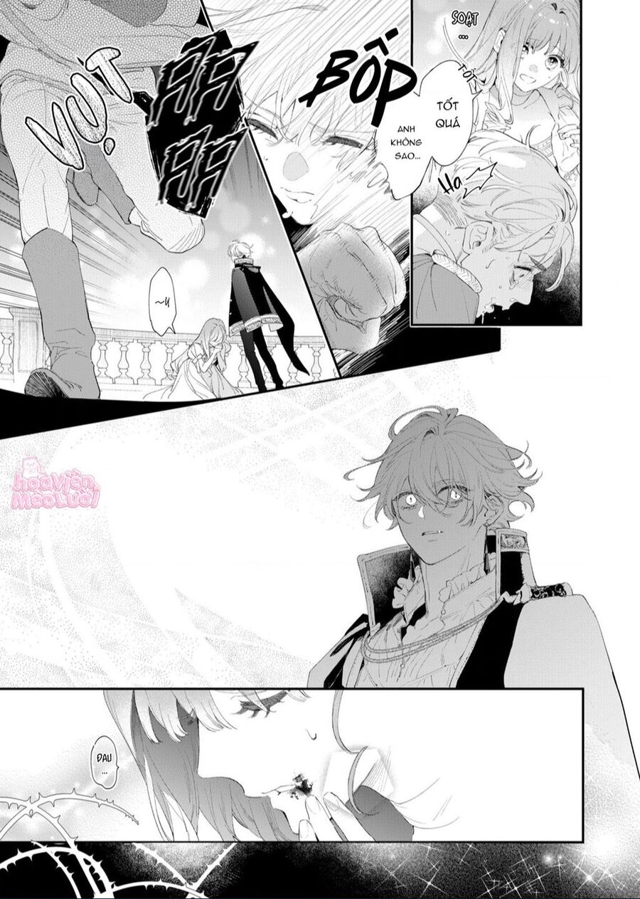 Hoa Hồng Ẩn Giấu Sao Băng Chap 2 - Next Chap 3