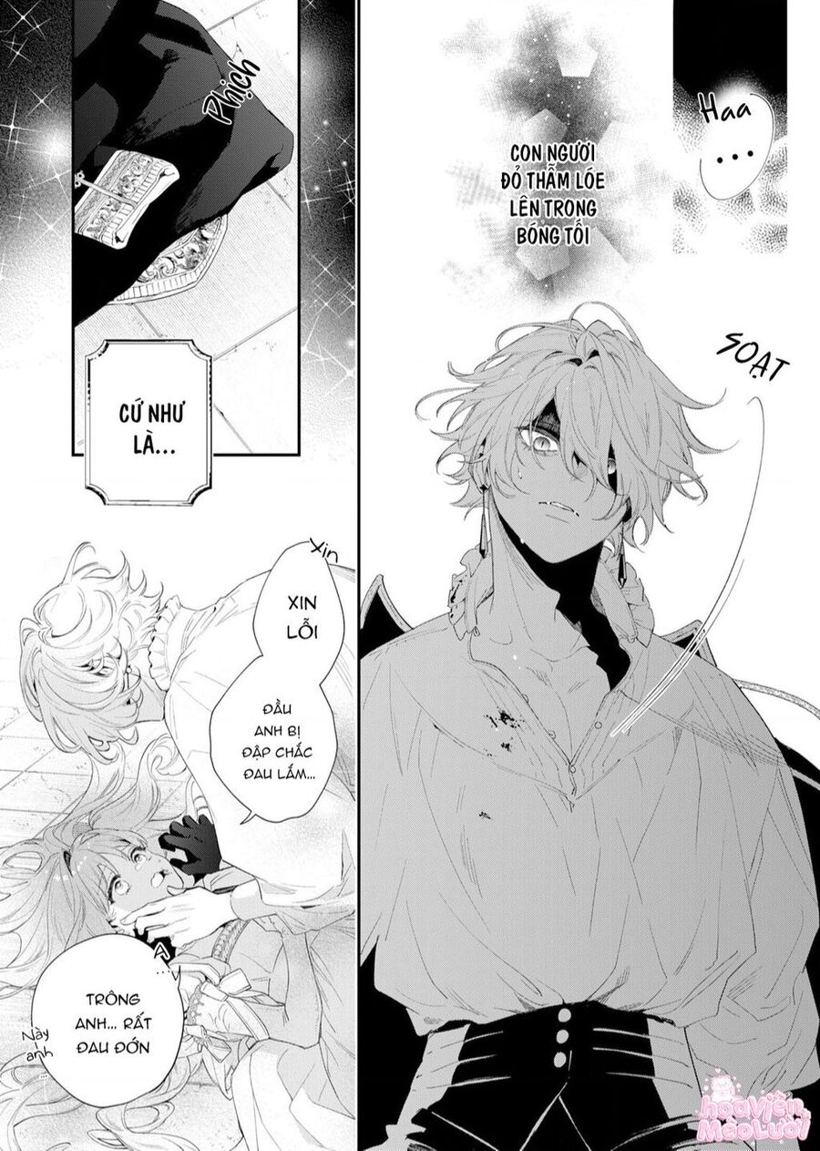 Hoa Hồng Ẩn Giấu Sao Băng Chap 2 - Next Chap 3