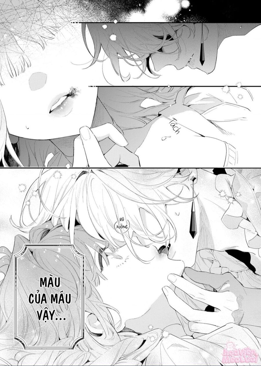 Hoa Hồng Ẩn Giấu Sao Băng Chap 2 - Next Chap 3