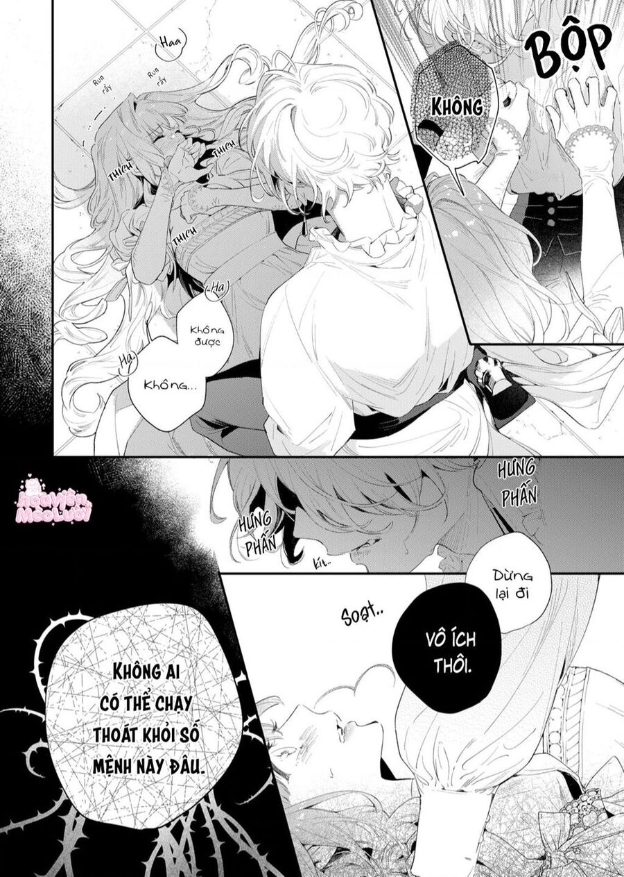 Hoa Hồng Ẩn Giấu Sao Băng Chap 2 - Next Chap 3