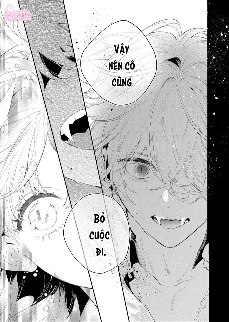 Hoa Hồng Ẩn Giấu Sao Băng Chap 2 - Next Chap 3