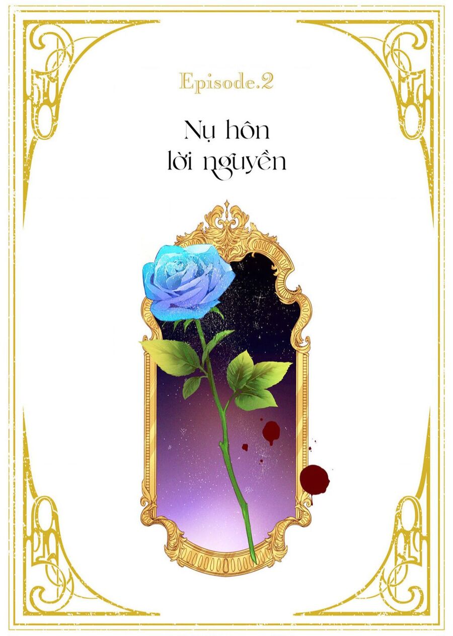 Hoa Hồng Ẩn Giấu Sao Băng Chap 2 - Next Chap 3