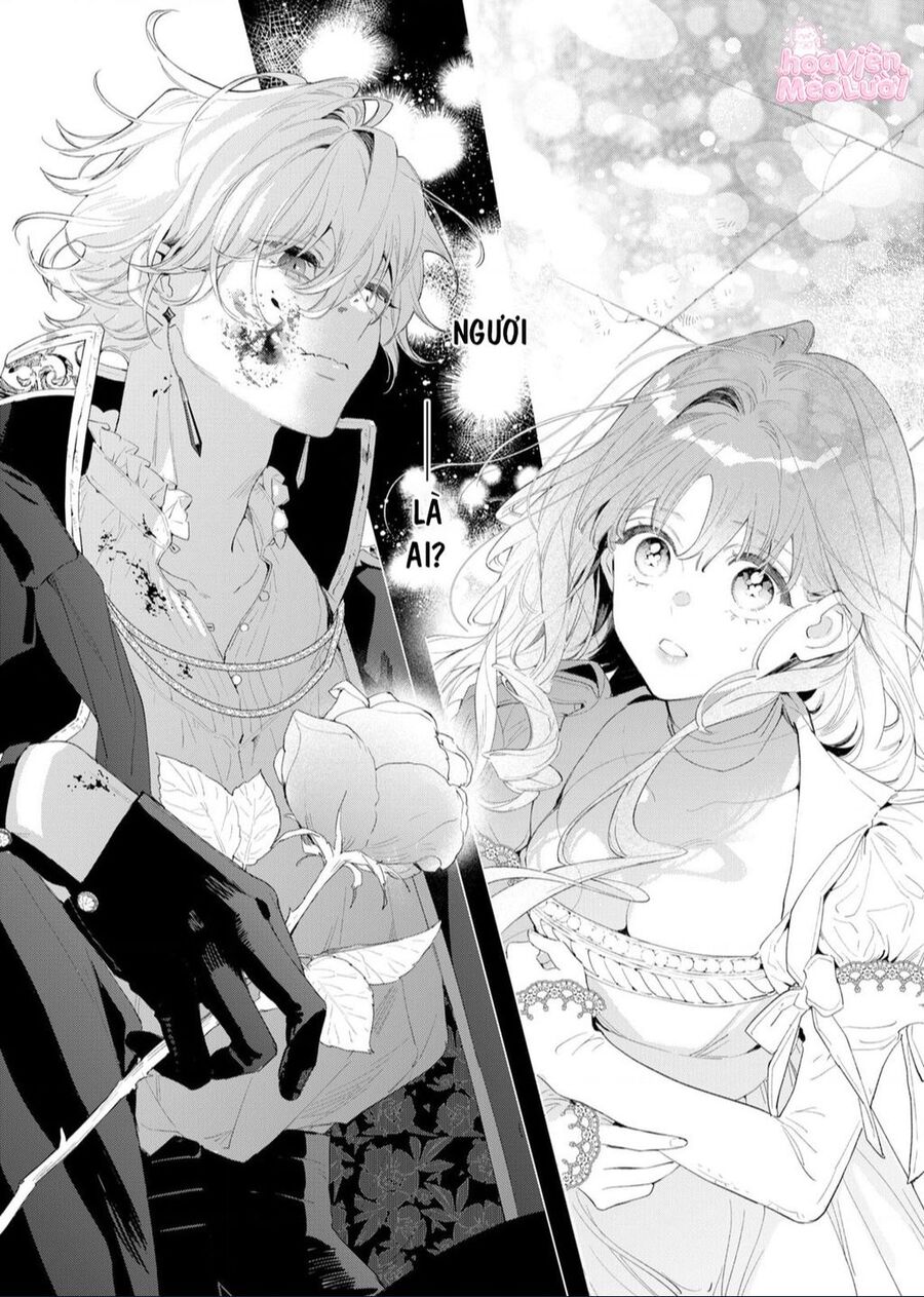 Hoa Hồng Ẩn Giấu Sao Băng Chap 2 - Next Chap 3