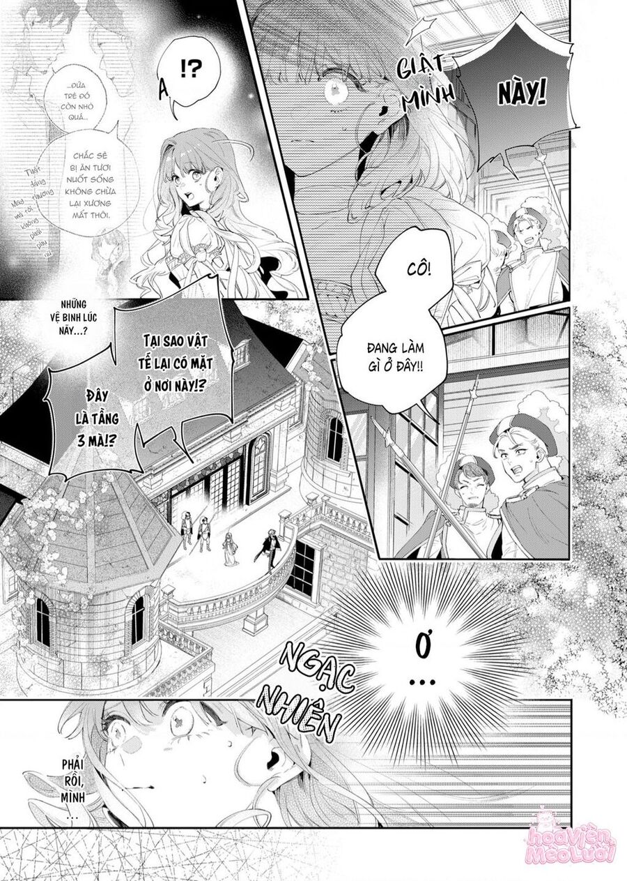 Hoa Hồng Ẩn Giấu Sao Băng Chap 2 - Next Chap 3