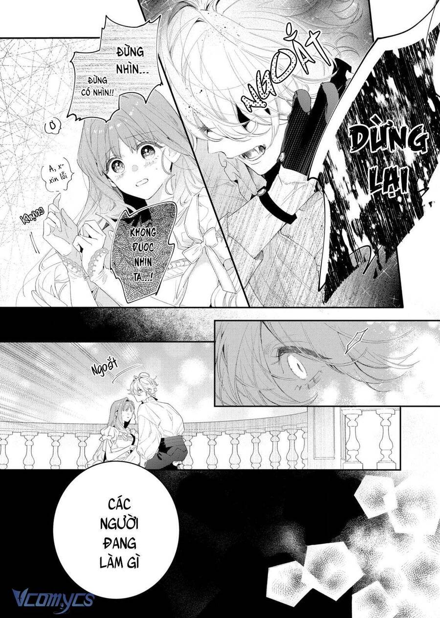 Hoa Hồng Ẩn Giấu Sao Băng Chap 3 - Next Chap 4