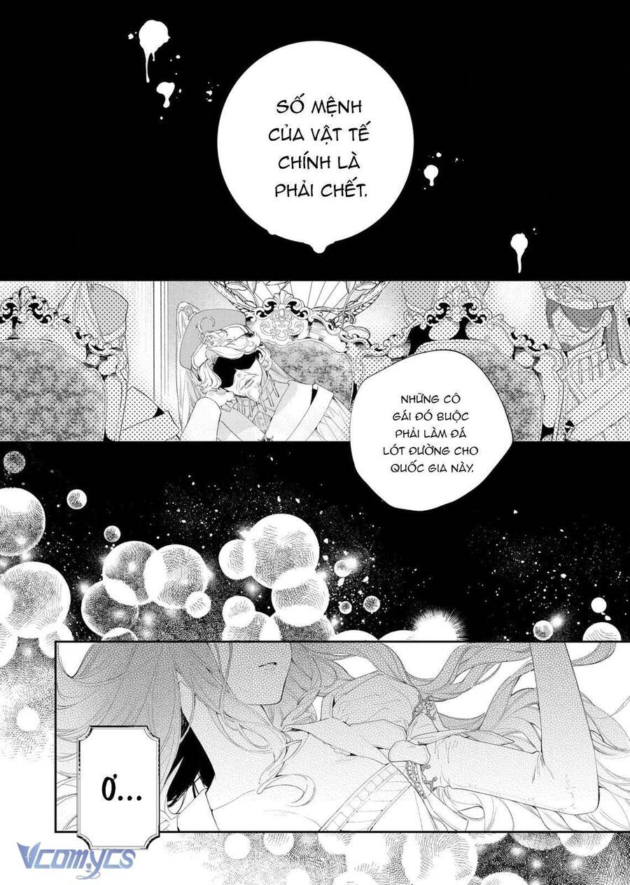 Hoa Hồng Ẩn Giấu Sao Băng Chap 3 - Next Chap 4