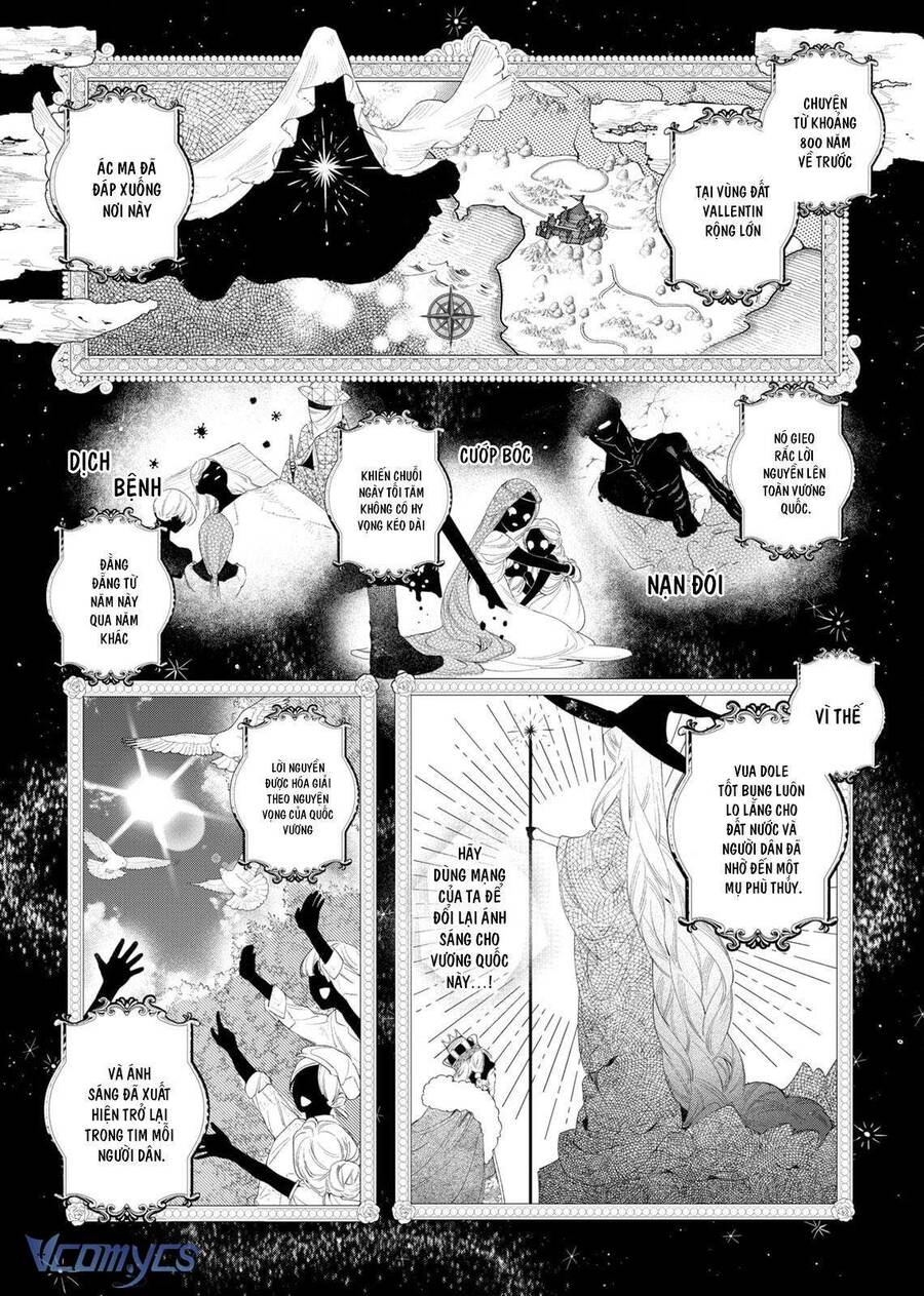 Hoa Hồng Ẩn Giấu Sao Băng Chap 3 - Next Chap 4