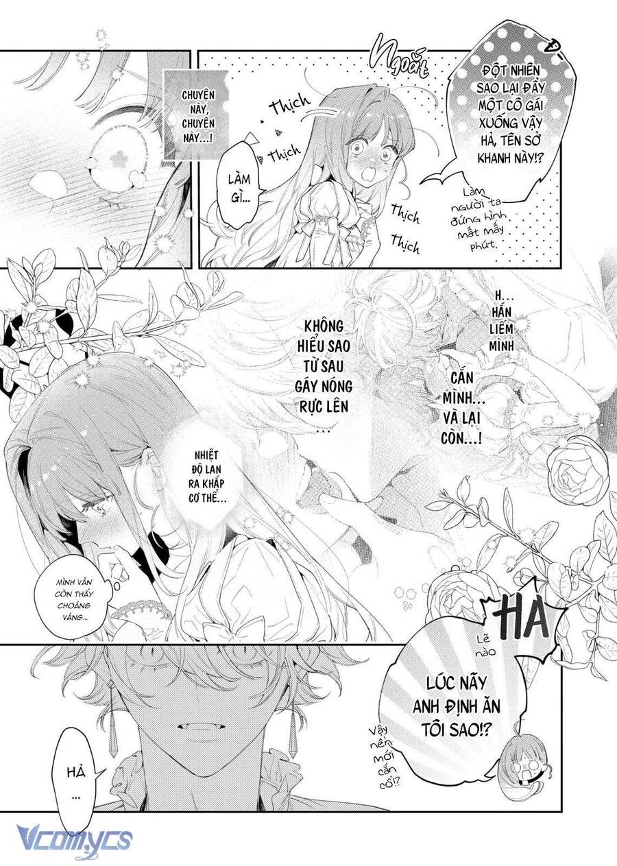 Hoa Hồng Ẩn Giấu Sao Băng Chap 3 - Next Chap 4