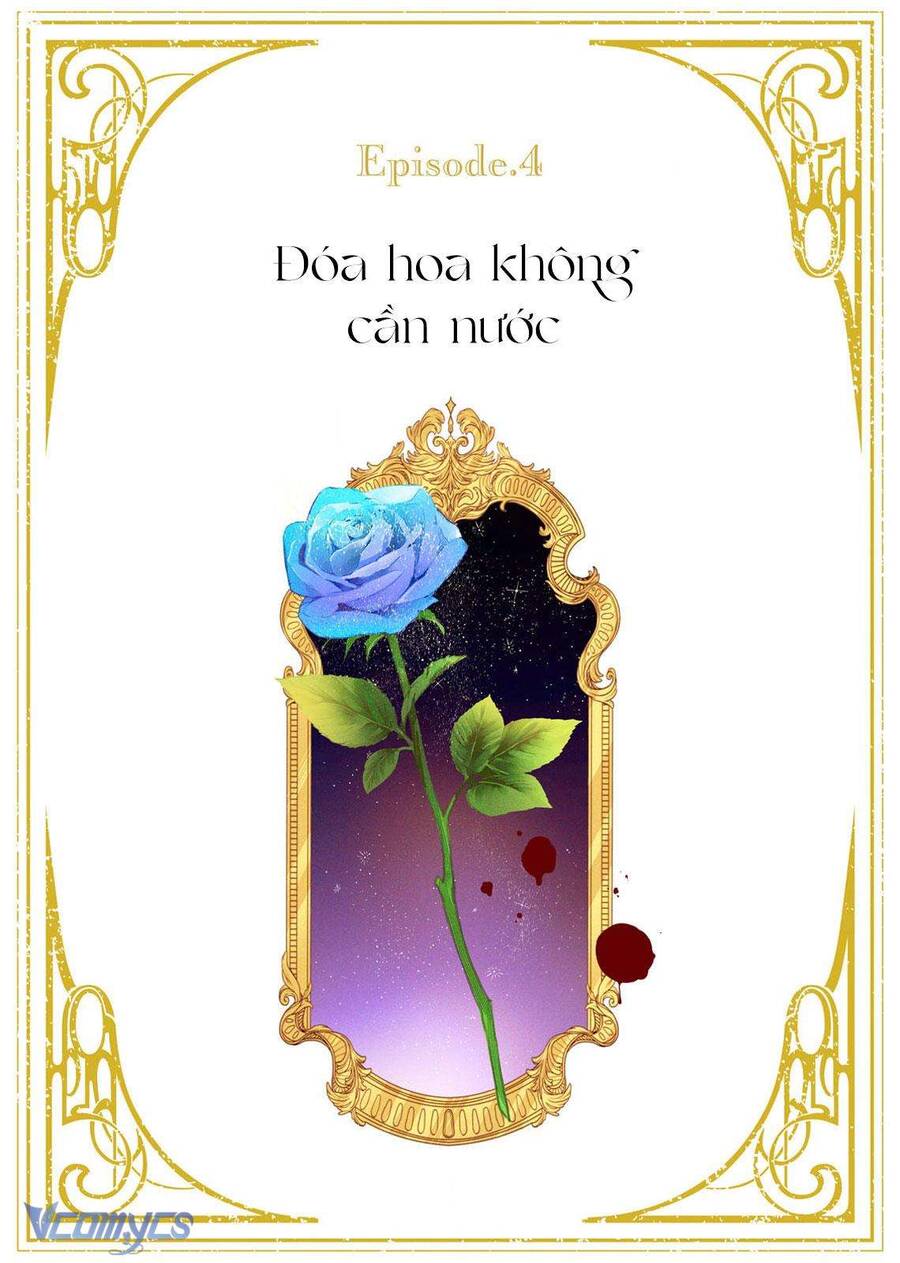 Hoa Hồng Ẩn Giấu Sao Băng Chap 4 - Next Chap 5
