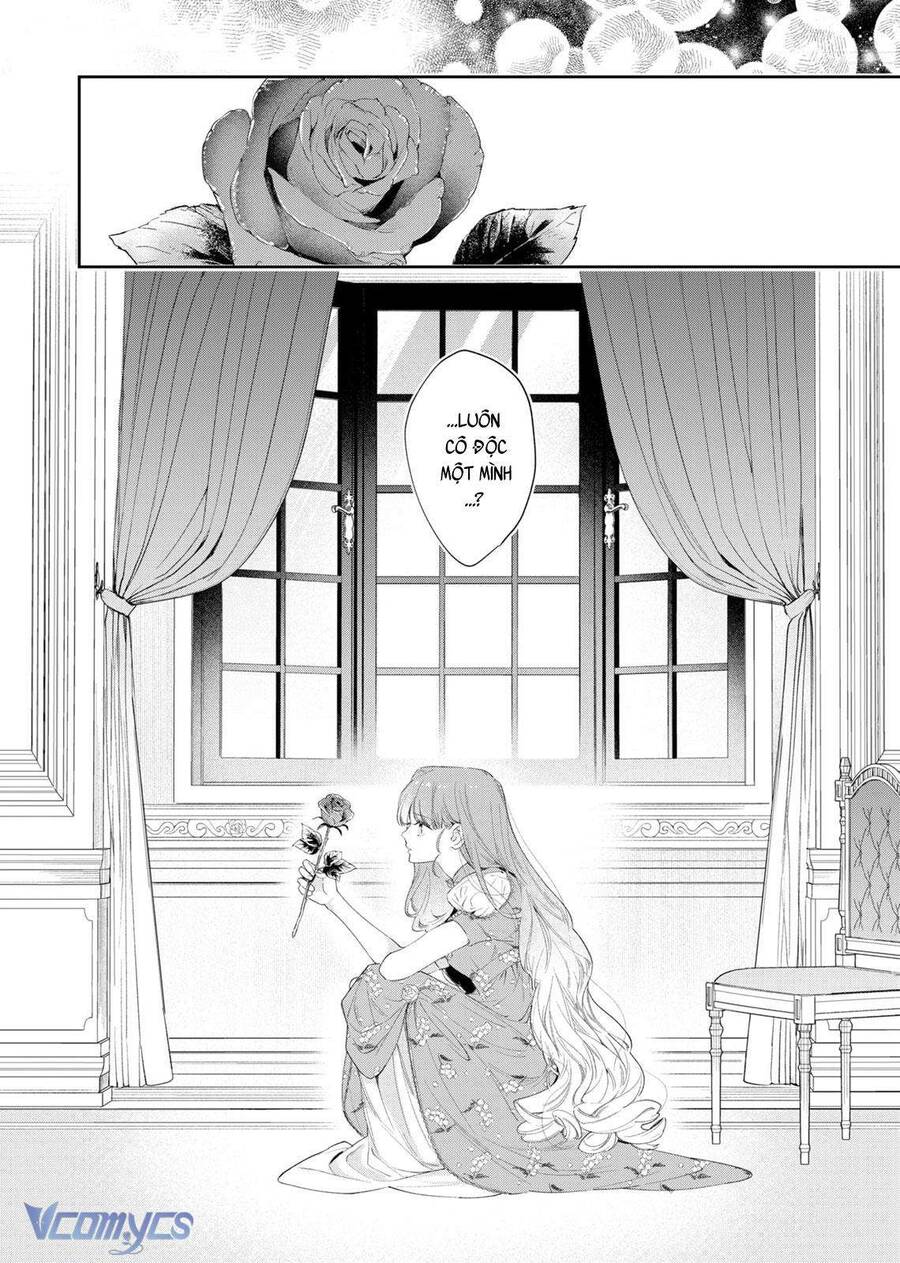 Hoa Hồng Ẩn Giấu Sao Băng Chap 4 - Next Chap 5