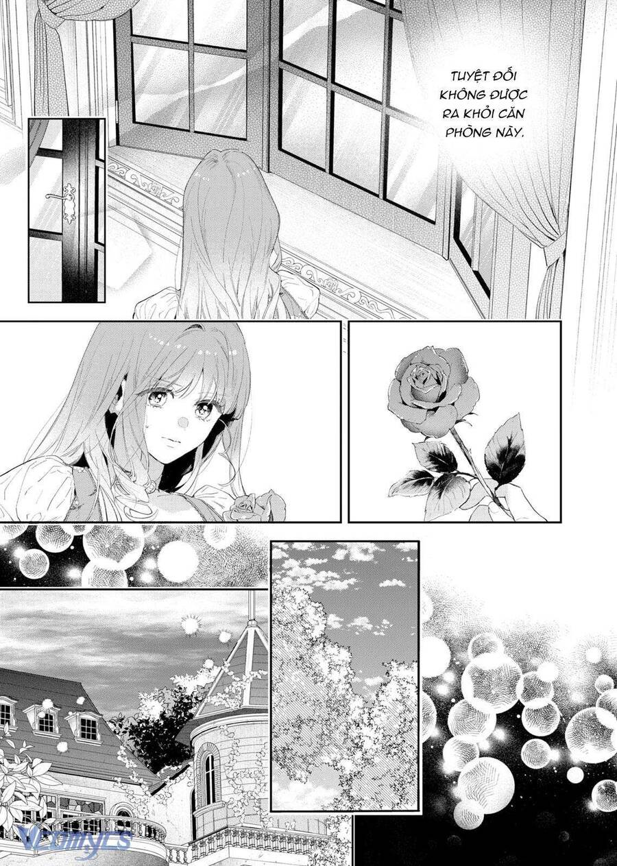 Hoa Hồng Ẩn Giấu Sao Băng Chap 4 - Next Chap 5