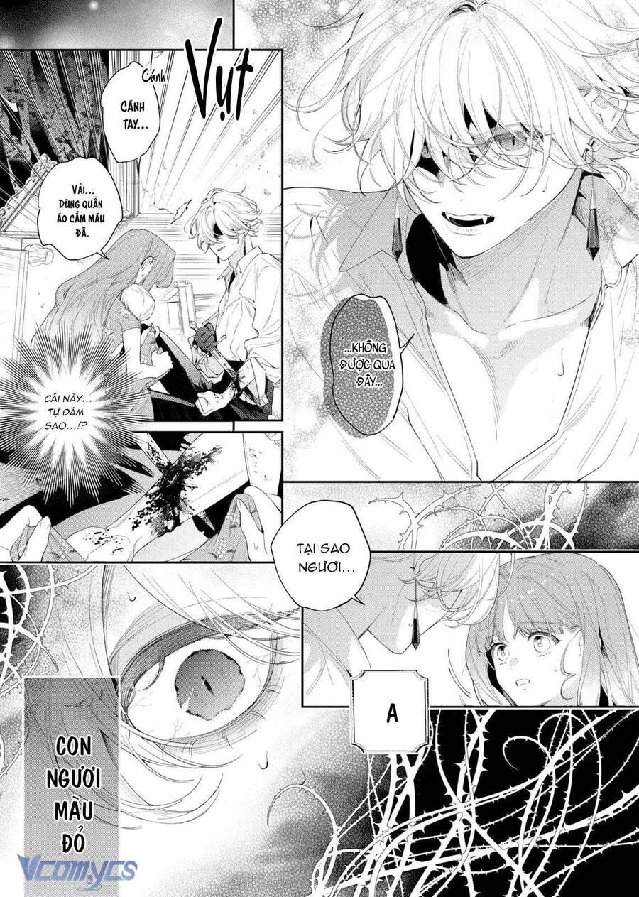 Hoa Hồng Ẩn Giấu Sao Băng Chap 4 - Next Chap 5