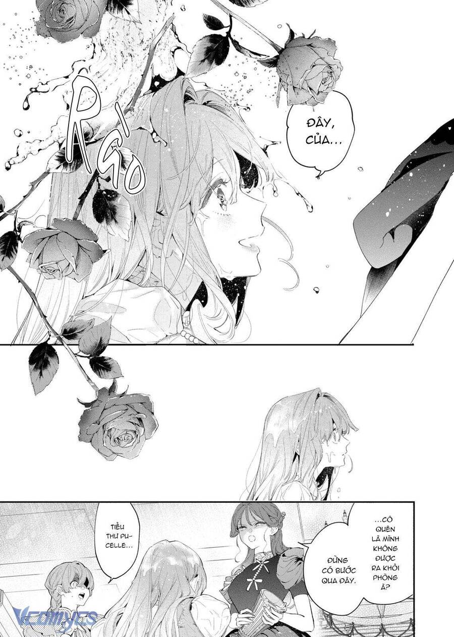 Hoa Hồng Ẩn Giấu Sao Băng Chap 4 - Next Chap 5