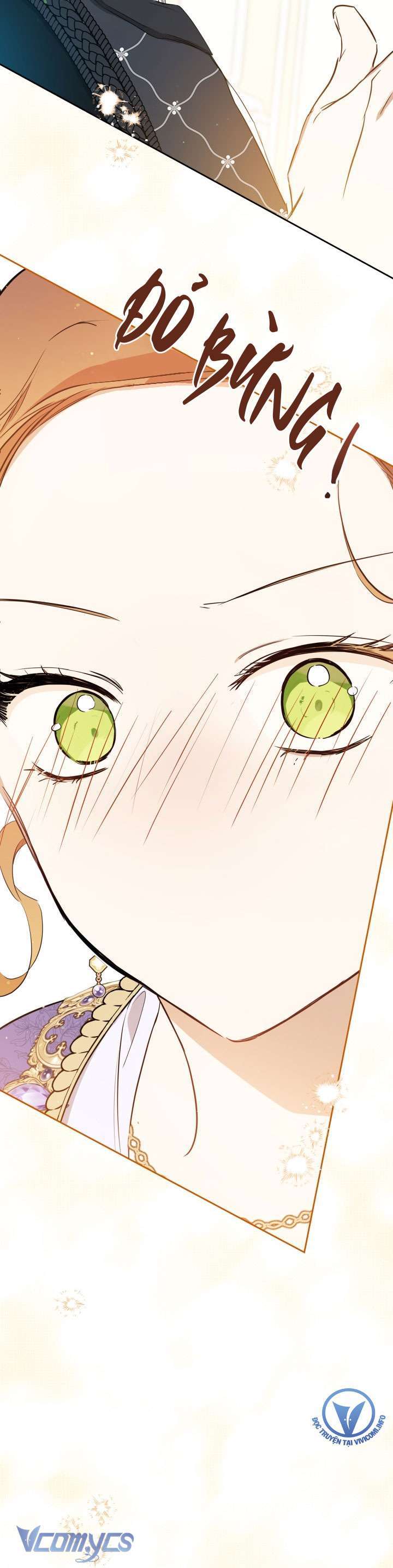 Hoa Hồng Ẩn Giấu Sao Băng Chap 6 - Next Chap 7