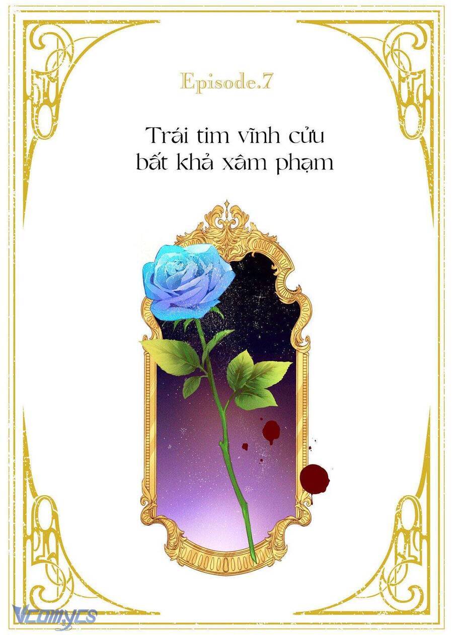 Hoa Hồng Ẩn Giấu Sao Băng Chap 7 - Next Chap 8