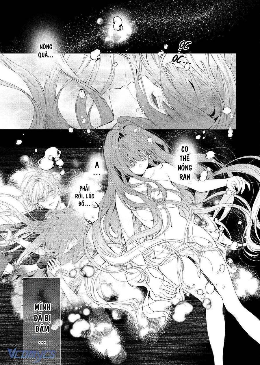 Hoa Hồng Ẩn Giấu Sao Băng Chap 7 - Next Chap 8
