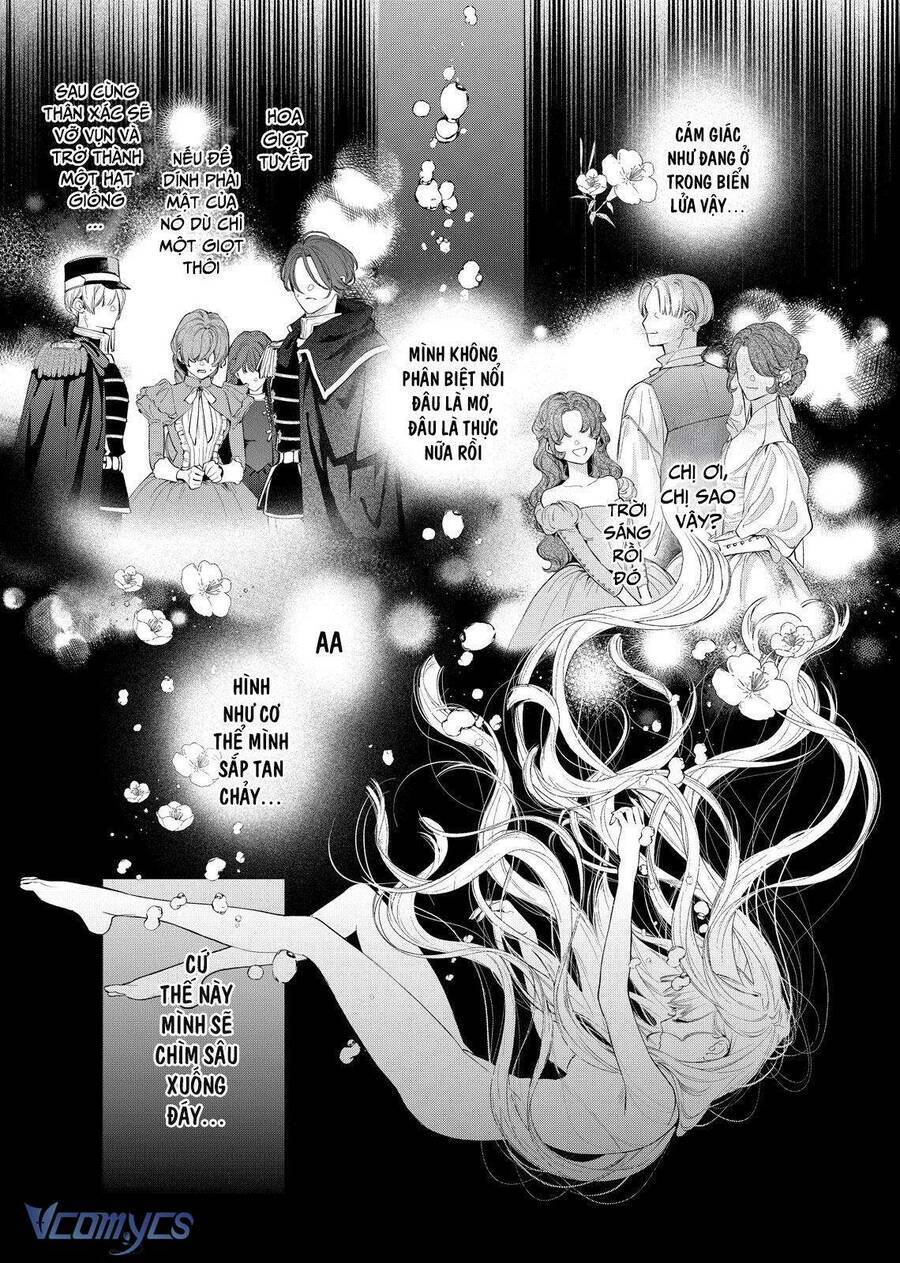 Hoa Hồng Ẩn Giấu Sao Băng Chap 7 - Next Chap 8