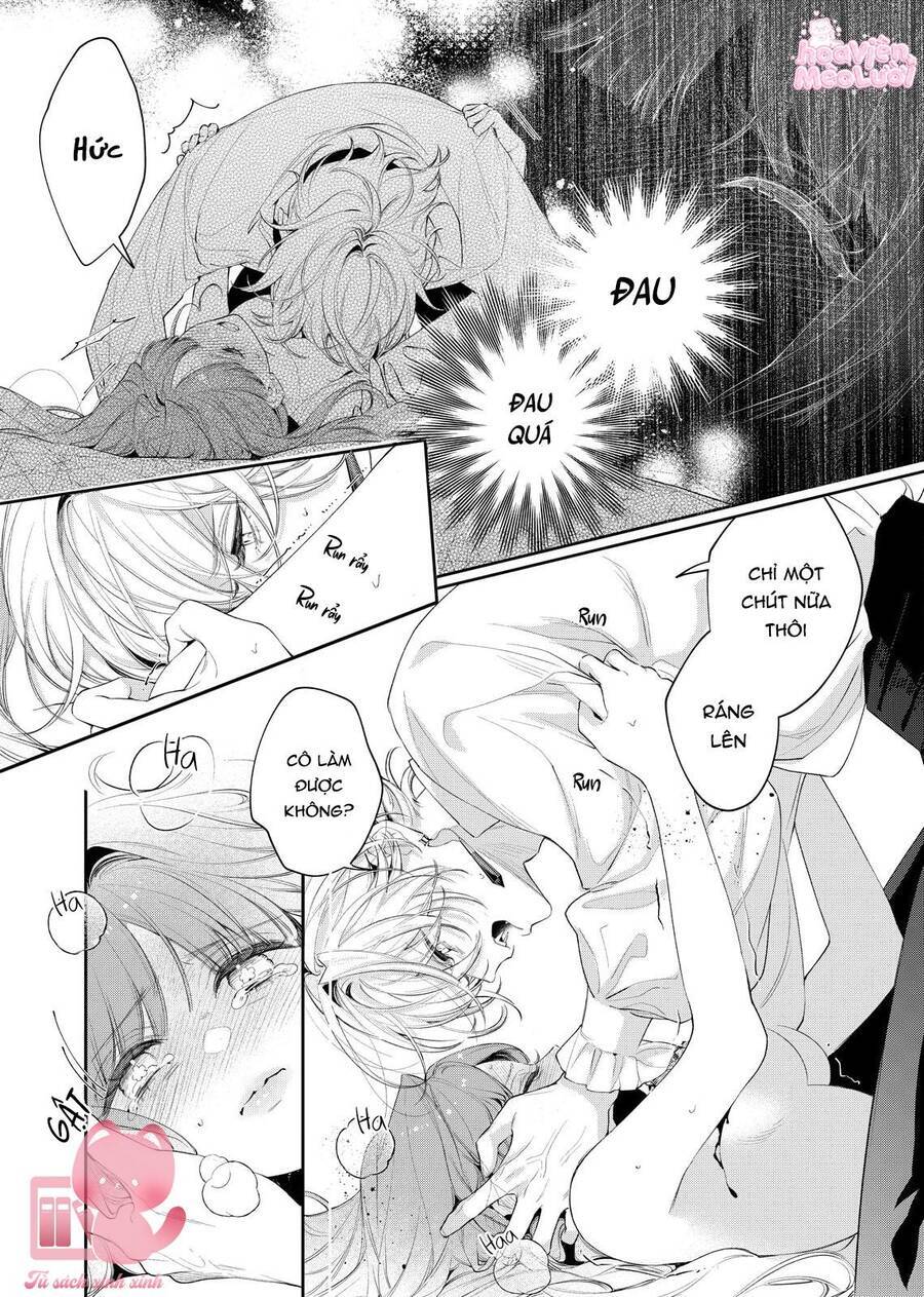 Hoa Hồng Ẩn Giấu Sao Băng Chap 8 - Next Chap 9