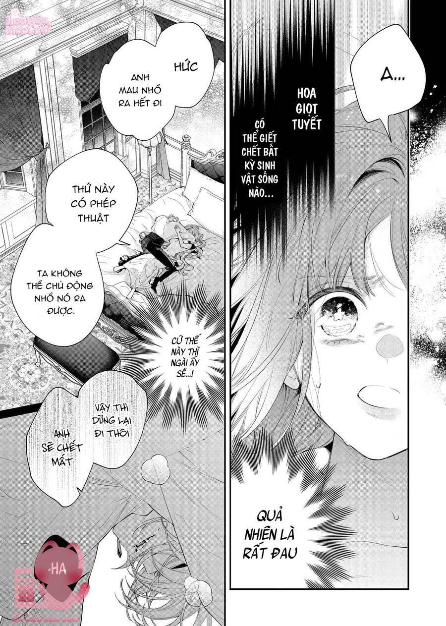 Hoa Hồng Ẩn Giấu Sao Băng Chap 8 - Next Chap 9