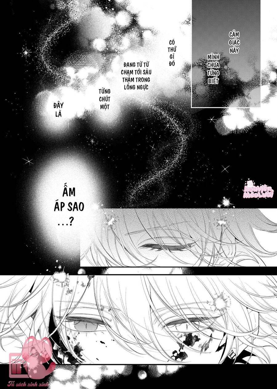 Hoa Hồng Ẩn Giấu Sao Băng Chap 8 - Next Chap 9