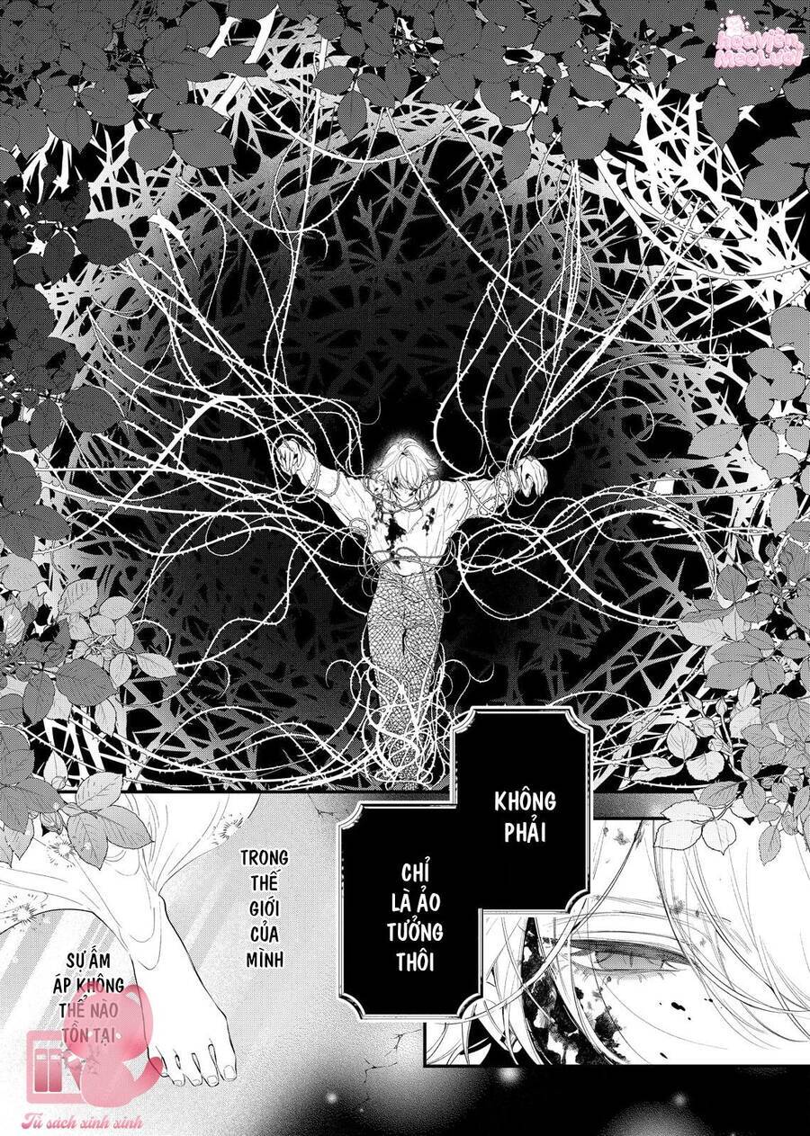 Hoa Hồng Ẩn Giấu Sao Băng Chap 8 - Next Chap 9