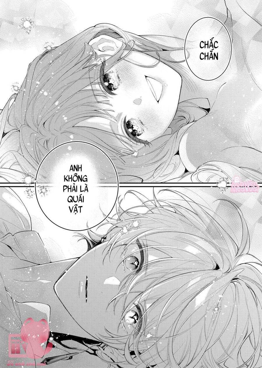 Hoa Hồng Ẩn Giấu Sao Băng Chap 8 - Next Chap 9