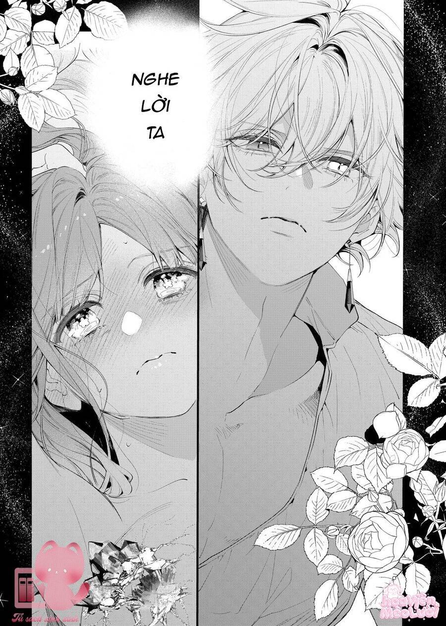 Hoa Hồng Ẩn Giấu Sao Băng Chap 8 - Next Chap 9