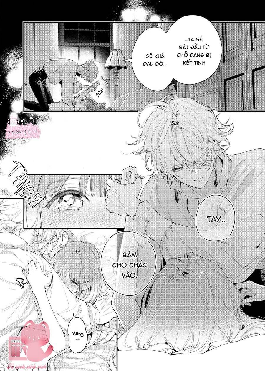 Hoa Hồng Ẩn Giấu Sao Băng Chap 8 - Next Chap 9