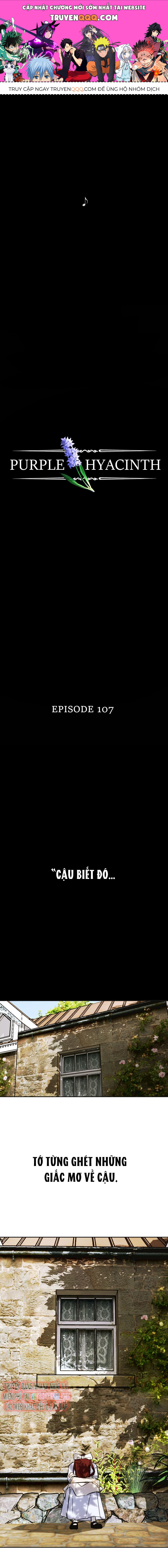 Hoa Lục Bình Tím Chap 107 - Next Chap 108