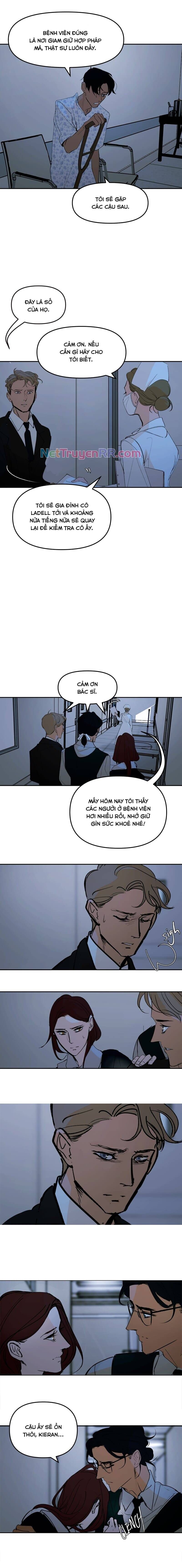 Hoa Lục Bình Tím Chap 1341 - Next Chap 1342