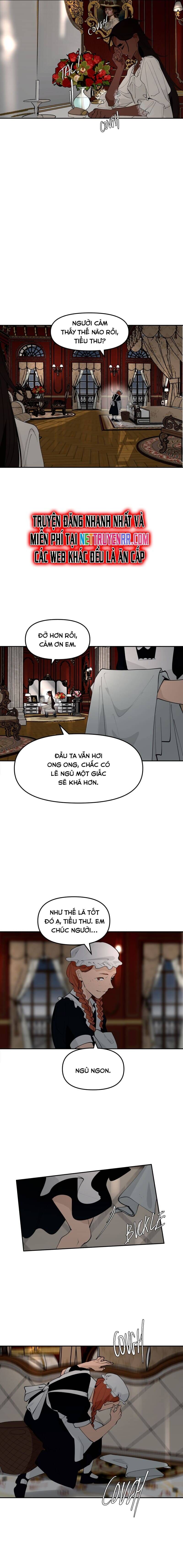 Hoa Lục Bình Tím Chap 1342 - Next Chap 1343