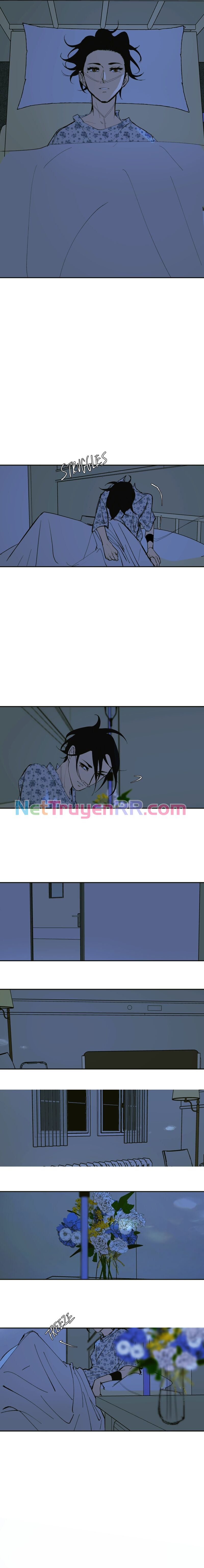 Hoa Lục Bình Tím Chap 1391 - Next Chap 1392