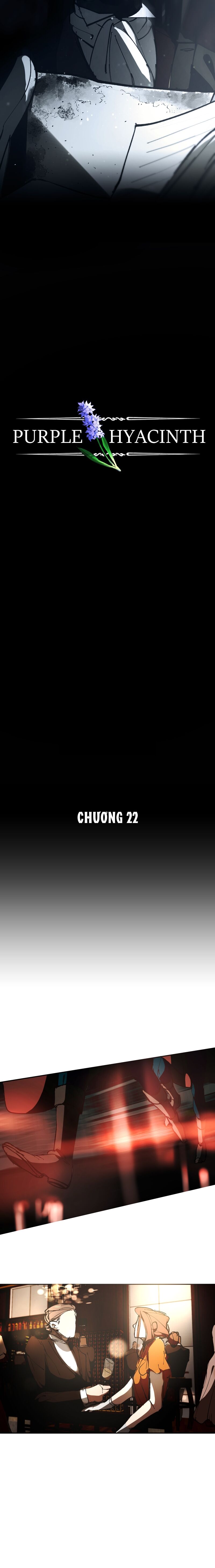 Hoa Lục Bình Tím Chap 22 - Next Chap 23