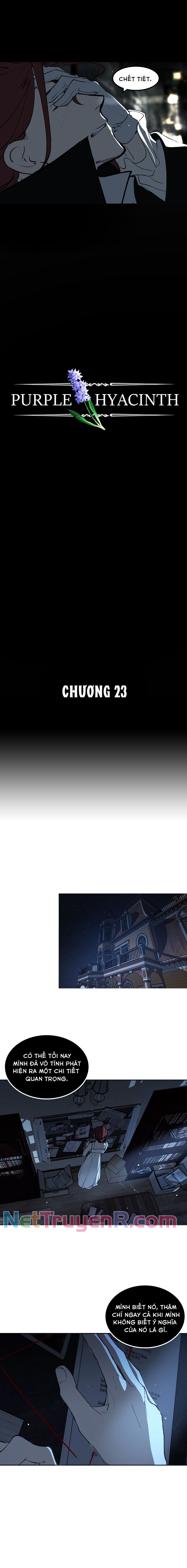 Hoa Lục Bình Tím Chap 231 - Next Chap 232