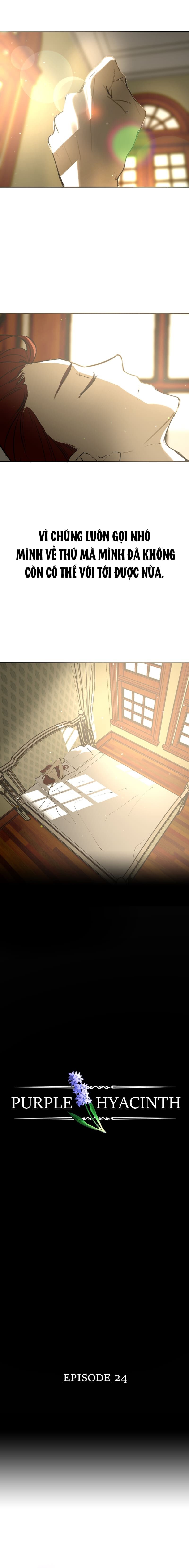 Hoa Lục Bình Tím Chap 241 - Next Chap 242