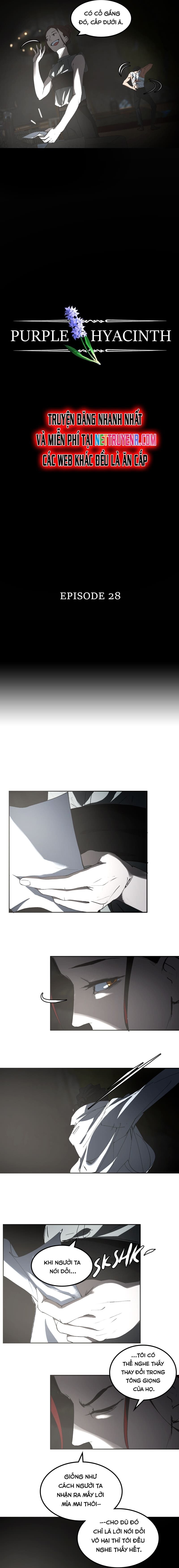 Hoa Lục Bình Tím Chap 28 - Next Chap 29