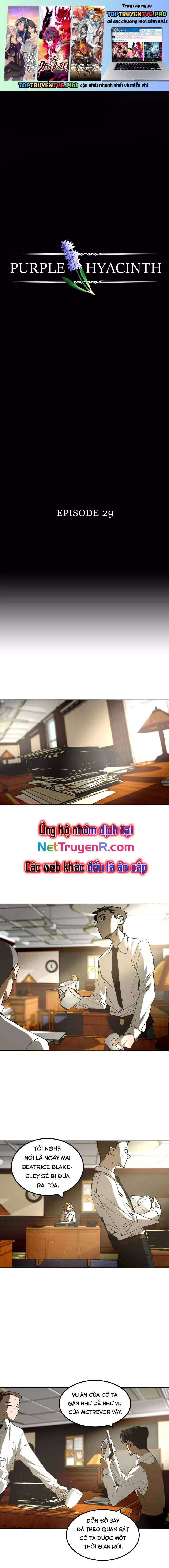 Hoa Lục Bình Tím Chap 29 - Next Chap 30