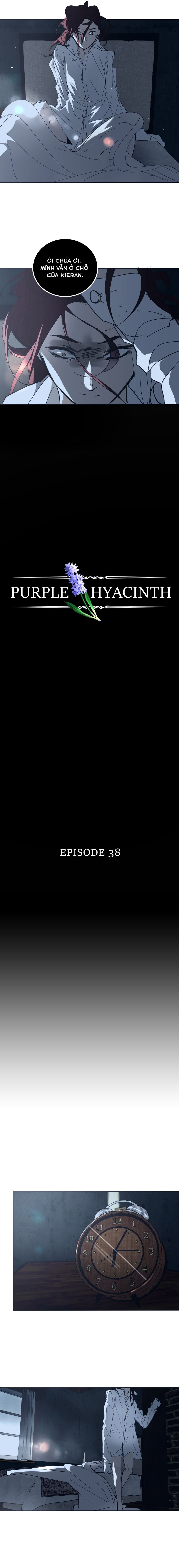 Hoa Lục Bình Tím Chap 38 - Next Chap 39